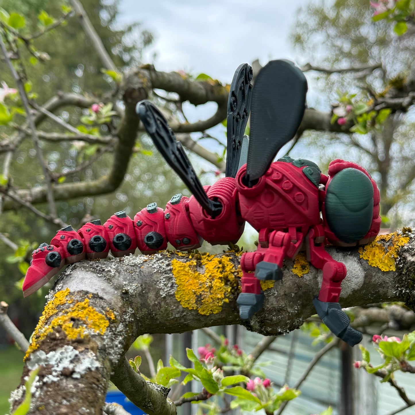 Drachenfliege - Aerohunter