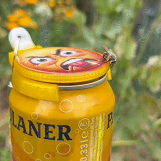 2er Set Dosen Deckel – Insektenschutz & Style für 0.25 L, 0.33 L & 0.5 L Dosen