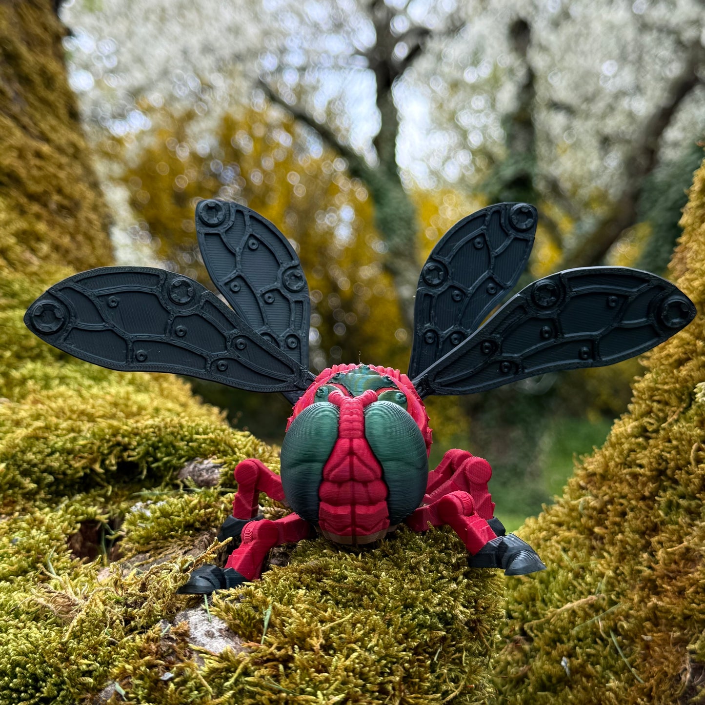 Drachenfliege - Aerohunter