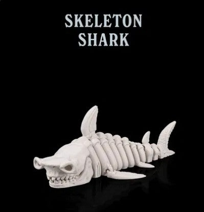 Skelett Meereskreaturen